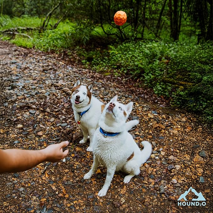 Hound2O Dog Toys | Squeaky Fetch Ball for Dogs | Orange Floating Outdoor Toy - Easy to Clean and Made from Non Toxic Materials