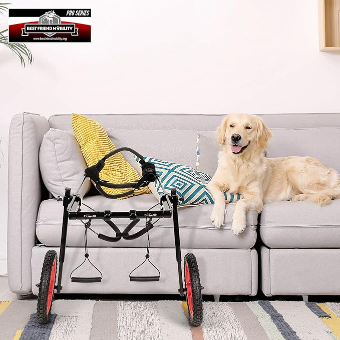 PRO Dog Wheelchair for Back Legs - Adjustable Dog Cart - Medium to XL Sizes - Hind Leg Wheels for Mobility & Healing