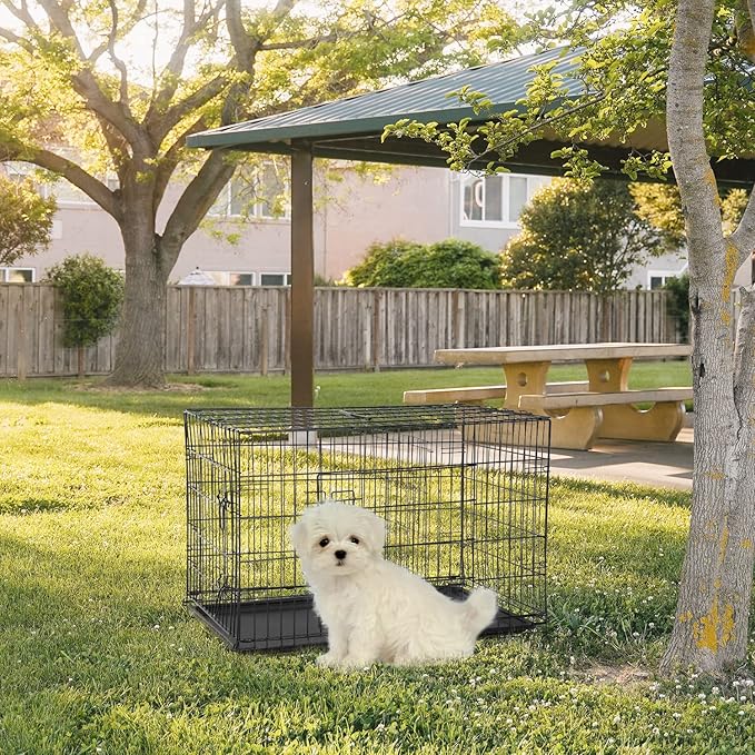 FDW Dog Crate for Small Dogs 24 Inch Folding Metal WirePet Cage Double Door W/Divider Panel Indoor Outdoor Kennel Leak-Proof Plastic Tray,Black