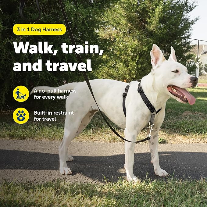 PetSafe 3-in-1 Harness - Comfortable Easy-Walk Dog Chest Harness with Front Leash Attachment to Reduce Pulling, Choking & Gagging - Dog Obedience Gear - Medium - Black