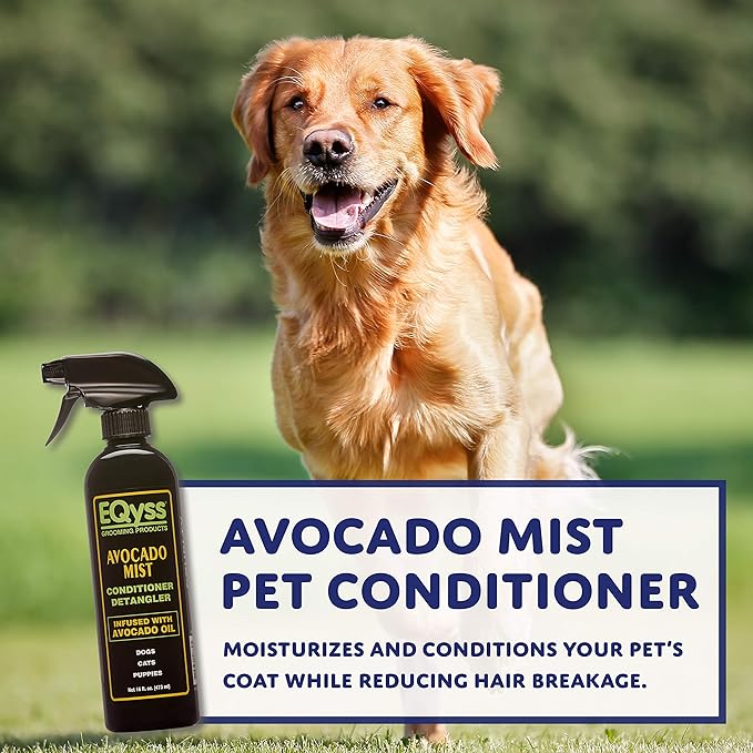 EQyss Avocado Mist Pet Spray Conditioner - Shines, Conditions, and Reduces Shedding, Weightless Leave in Spray - for Dogs, Cats, Puppies - Oil and Silicone Free, pH Balanced, USA Made (3 Pack)