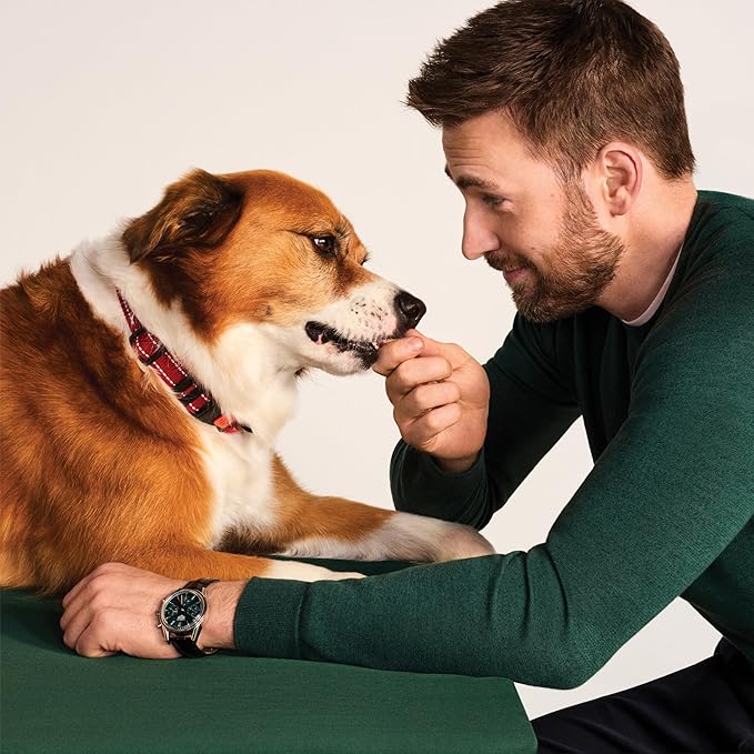 Jinx Chicken Bites Jerky Dog Treats - Soft & Chewy, All Natural Dog Jerky Treats with Cage-Free Chicken - Pet Products for All Dogs (Puppies, Adults & Seniors) - 15oz