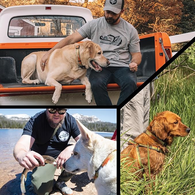 Wolfgang Heavy Duty Martingale Dog Collar with Quick Release Nylon Buckle for Walking & Training, CutBow Print, Medium