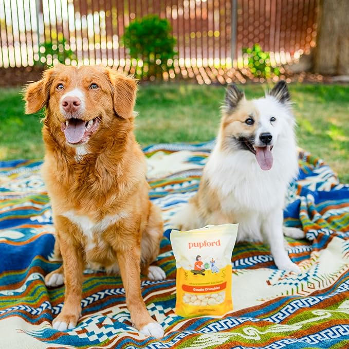 Pupford Cheese Crunchies, All-Natural, Healthy, Freeze Dried, Single-Ingredient Treat for Dogs & Puppies (Gouda, 7.50 oz)