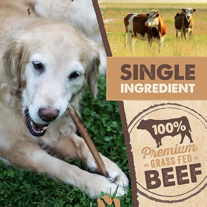 Mighty Paw Naturals Bully Sticks for Dogs - Grass Fed Beef Chews. Dog Bully Sticks for Large Pets, Medium and Small Breeds. Lower Odor Treats for Small Pets. Single Ingredient (12" - 5 Pack)