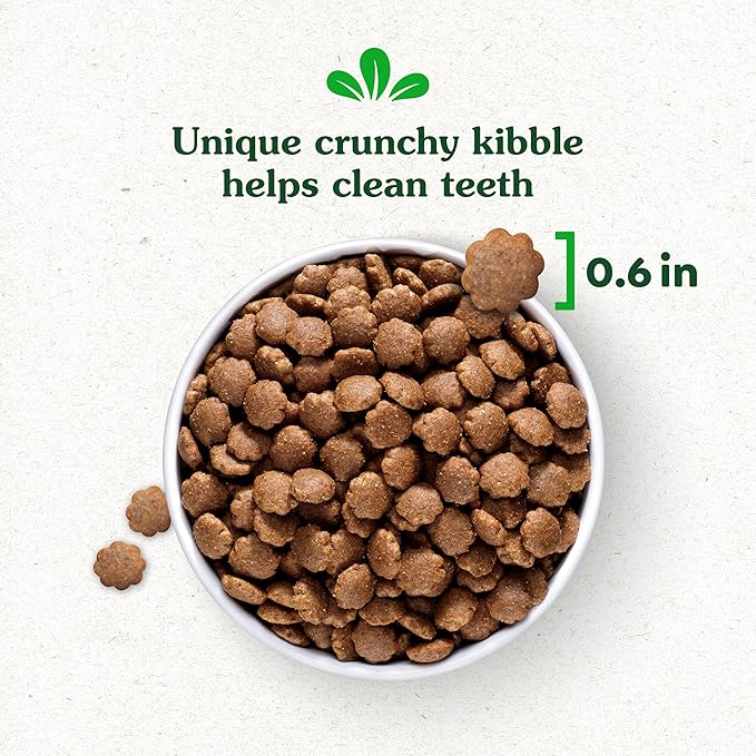 Greenies Smart Essentials Adult High Protein Dry Dog Food Real Chicken & Rice Recipe, 15 lb. Bag