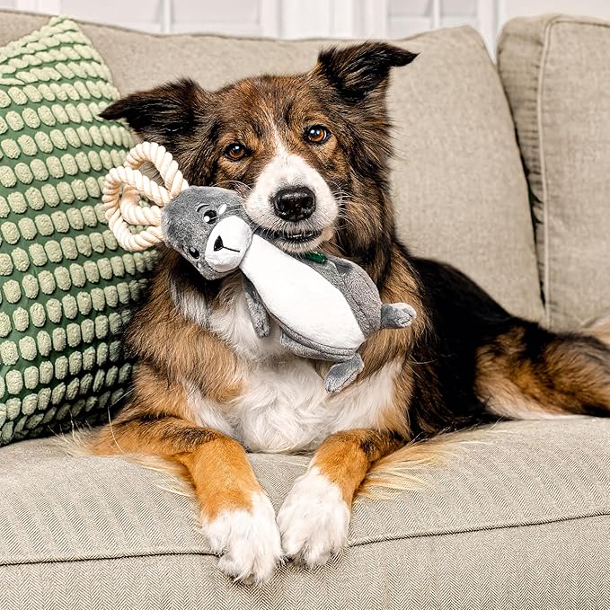 Dog Toys | Plush Toy Arctic Hare Stuffed Animal for Dogs | Jumbo Eco Friendly Toy Made from Non Toxic Materials