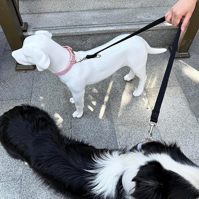 Double Ended Dog Leash,for Obedience Training Easy to Use,Lightweight,Soft for Large and Medium Dogs (Black, 1M*2.5CM)