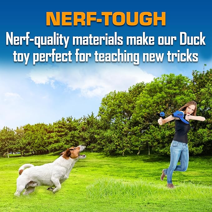Nerf Dog Large Nylon Launching Duck with Interactive Design, Blue (3473), for All Breed Sizes