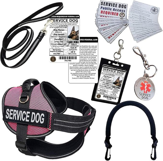 ActiveDogs Full Service Dog Kit - XS Pink - Service Dog Vest Harness with Handle, ID, ID Holder, Medical Alert Keychain, Leash & Patches