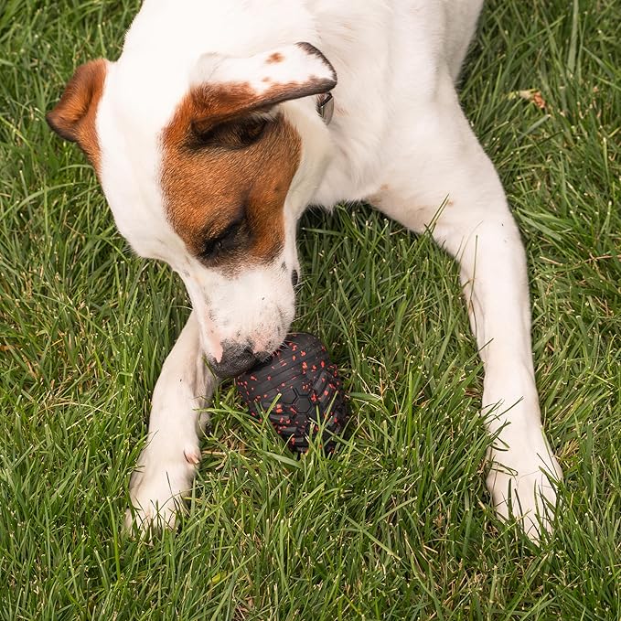 Chew King by Mammoth Supreme Dog Toy Collection, Large Supreme Treater