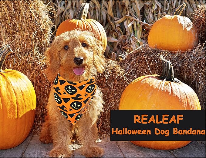 Realeaf Halloween Dog Bandanas 2 Pack, Pumpkin and Spider Web Bibs, Triangle Reversible Fall Pet Scarf, Premium Durable Fabric, Adjustable Fit (X-Large)