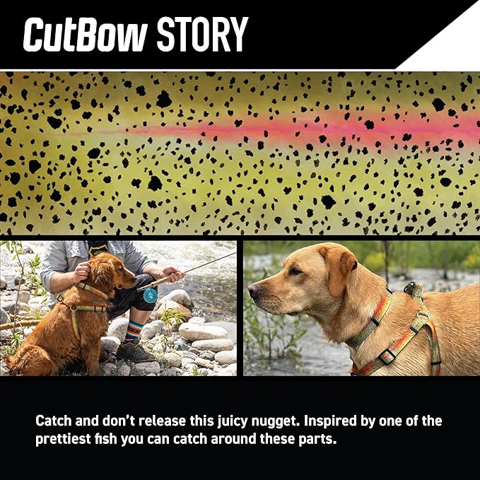 Wolfgang Heavy Duty Martingale Dog Collar with Quick Release Nylon Buckle for Walking & Training, CutBow Print, Medium