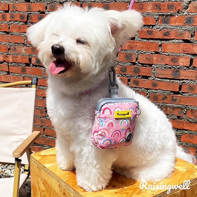 Dog Treat Pouch for Pet Walking and Training with Clicker Poop Bags Small Fanny Zipper Pack Holder for Puppy Snack Dispenser Kit for Leash and Outdoor Use (Rainbow)
