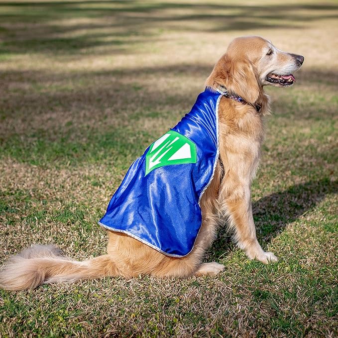 Everfan Personalized Dog Superhero Cape (Small 10" Long (8-12 lbs), Silver)