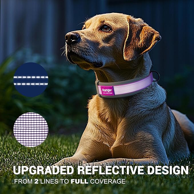 Personalized Dog Collar with Name & Phone Number - Durable Buckle, Ultra-Visible Fully Reflective, and Wide Comfort-Fit Padded Neoprene for Small, Medium, Large Dogs and Cats