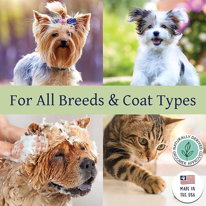 Bobbi Panter Refreshing Dog Shampoo, Hydrates & Soothes Skin & Fur, Minimizes Itching & Dander, Eucalyptus Mint Scent - 30:1 Concentrated Formula, Made in USA, Trusted by Professional Groomers, 14 oz.