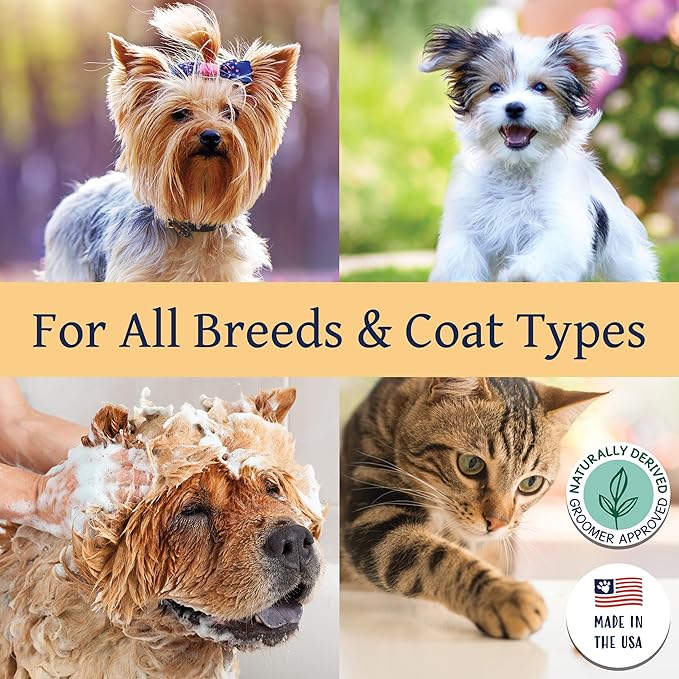 Bobbi Panter Rejuvenating Dog Shampoo, Restores & Revitalizes Skin & Fur, Orange Citrus Scent - 30:1 Concentrated Formula, Made in The USA, Trusted by Professional Groomers, 14 oz.