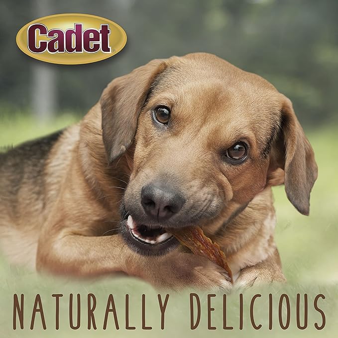 Cadet Gourmet Duck Breast Dog Treats - Healthy & Natural Dog Training Treats for Small & Large Dogs - Inspected & Tested in USA (3 oz.)