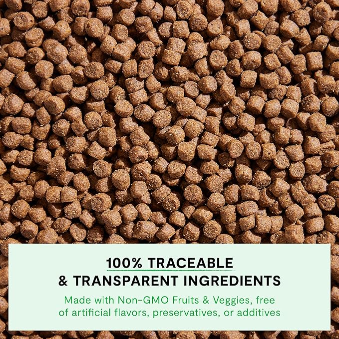 Open Farm, Ancient Grains Dry Dog Food for Puppies, Protein-Rich & Nutrient Dense, 90% Animal Protein Mixed with Non-GMO Fruits, Veggies and Superfoods, Chicken & Salmon Recipe for Puppy, 4lb Bag