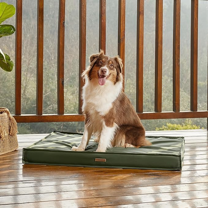 LE SURE Outdoor Waterproof Dog Bed Medium Size Dogs, Orthopedic Egg Crate Foam Pet Bed with Oxford Fabric Surface and Removable Washable Cover, Pet Mat 30''x20'', Green