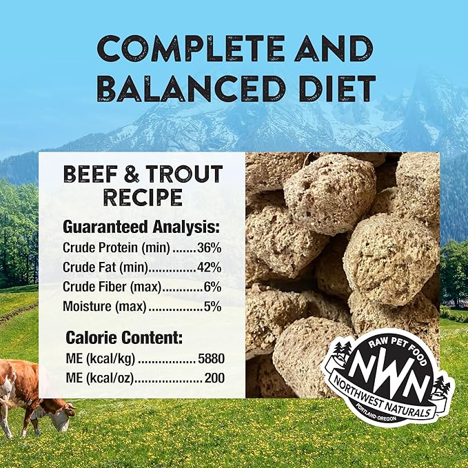 Northwest Naturals Freeze-Dried Beef & Trout Dog Food - Bite-Sized Nuggets - Grain-Free, High-Protein, Raw Diet, Human-Grade Ingredients, All Natural, Omega-3 for Skin & Coat, Made in USA, 25 Oz