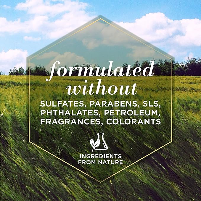 Burt's Bees for Pets Itch Soothing Shampoo with Honeysuckle, 95% Natural Origin Formulas, Dog Cleanser Wash for Itchy Dogs, Skin Relief, 16 oz