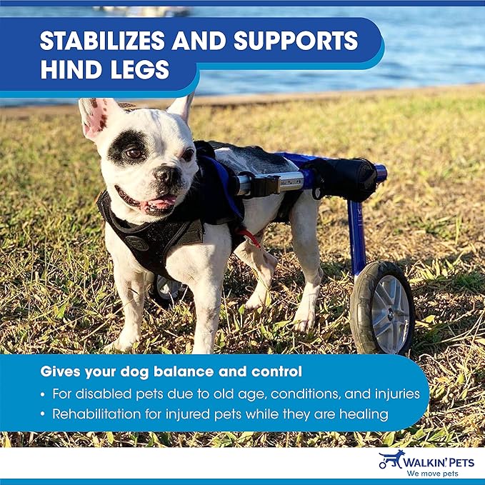 Walkin' Wheels Dog Wheelchair - for Medium Dogs 26-49 lbs - Veterinarian Approved - Dog Wheelchair for Back Legs