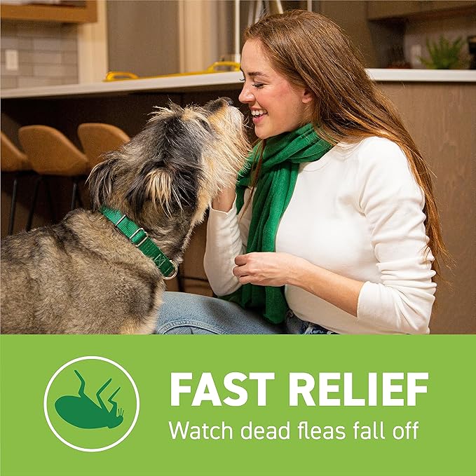 Capstar for Dogs (nitenpyram), Fast-Acting Oral Flea Treatment for Dogs Over 25+ lbs, Vet-Recommended Flea Medication Tablets Start Killing in 30 Minutes, 6 Doses