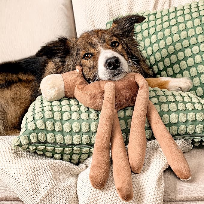 Dog Toys | Plush Toy Camel Stuffed Animal for Dogs | Eco Friendly Toy Made from Non Toxic Materials