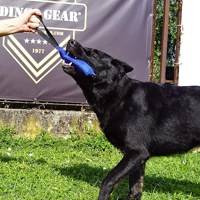 Dingo Gear French Linen tug Toy for Dog, Dog Bumper for Training, Agility, tug of war, Dog bite Pillow for Strong Dog, 1handle 8" Orange S00086