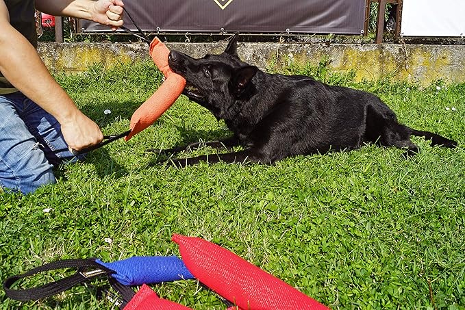 Dingo Gear French Linen tug Toy for Dog, Dog Bumper for Training, Agility, tug of war, Dog bite Pillow for Strong Dog, 2handles 18" Orange S00085