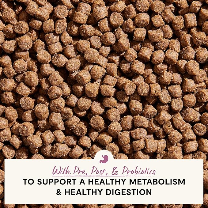 Open Farm, Digestive Health Dog Food, Veterinarian Formulated Easily Digestible Formula with Probiotics for Dogs, Wild-Alaskan Pollock & Oatmeal Recipe, 4lb Bag