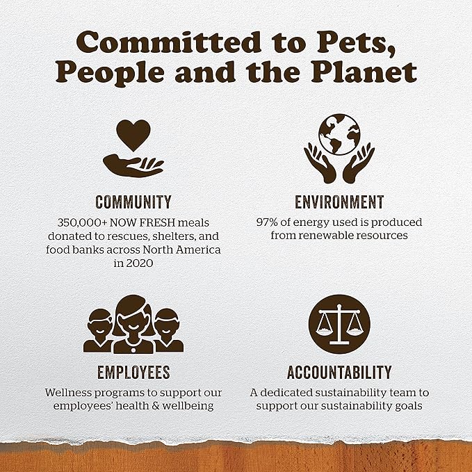 Now Fresh Grain-Free, Dry Cat Food, Turkey, Salmon and Duck Kibble, Real Meat and Fish Senior Recipe, 3 lb Bag