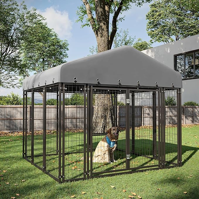 6X6FT Dog Kennel Outside Double Door Dog Kennel Outdoor with Feeding, Heavy Duty Outdoor Dog Crate Durable Dog Cage with Roof & Double Lock