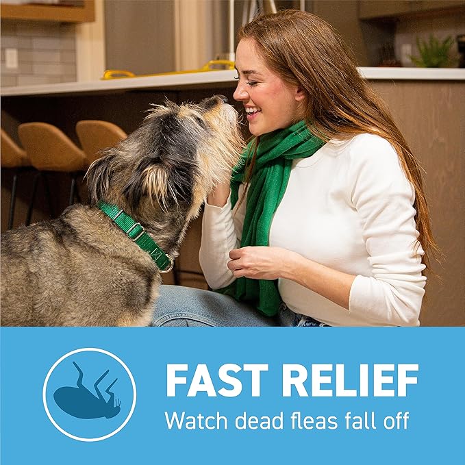 Capstar (Nitenpyram) Fast-Acting Oral Flea Treatment for Dogs 2-25 Lbs, Vet-Recommended Medication Tablets, Flea Tablets for Dogs Start Killing in 30 Minutes, 12 Doses