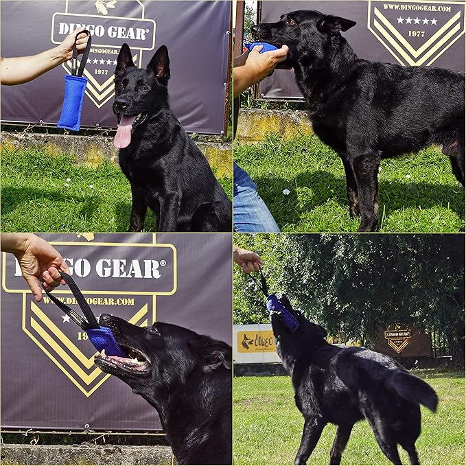 Dingo Gear French Linen tug Toy for Dog, Dog Bumper for Training, Agility, tug of war, Dog bite Pillow for Strong Dog, 1handle 8" Orange S00086