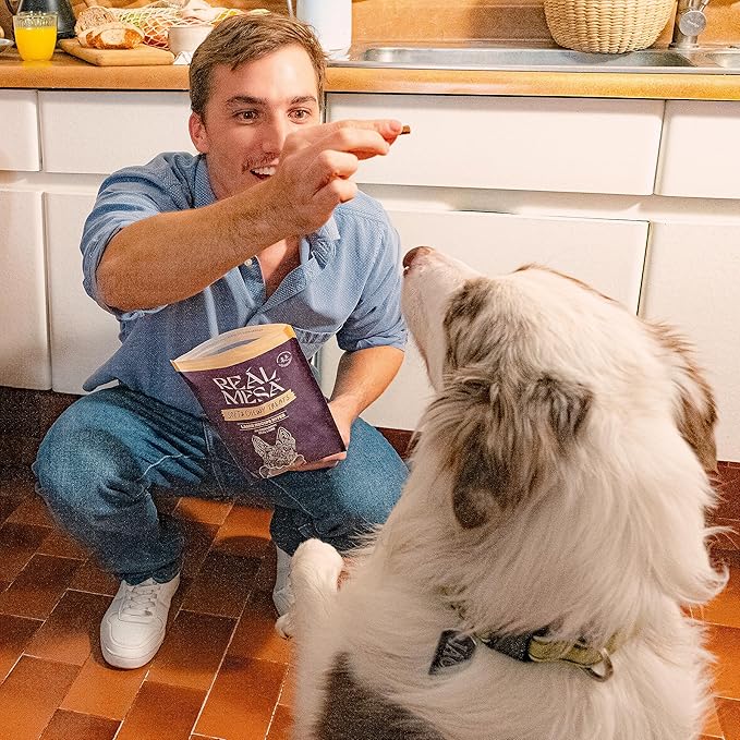 Soft & Chewy Lamb Recipe Dog Treats - Tasty Training Snacks for Small, Medium, and Large Dogs, Protein-Packed, Easy-to-Chew Lamb Dog Food Treats for All Breeds, Pet Treats, (9 oz)