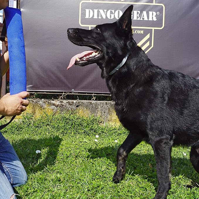 Dingo Gear French Linen tug Toy for Dog, Bumper Toy for Training, Agility, tug of war, bite Pillow for Strong Dog, 2handles 18in Blue S00067