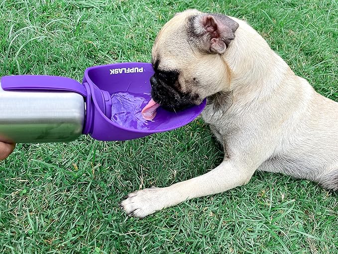 PupFlask Large Dog Water Bottle | 27 or 40 OZ Stainless Steel | Convenient Dog Drink Dispenser | Puppy Travel Water Bowl | Portable Pet Hydration Bottle | Leak Proof | Perfect Size For All Breeds