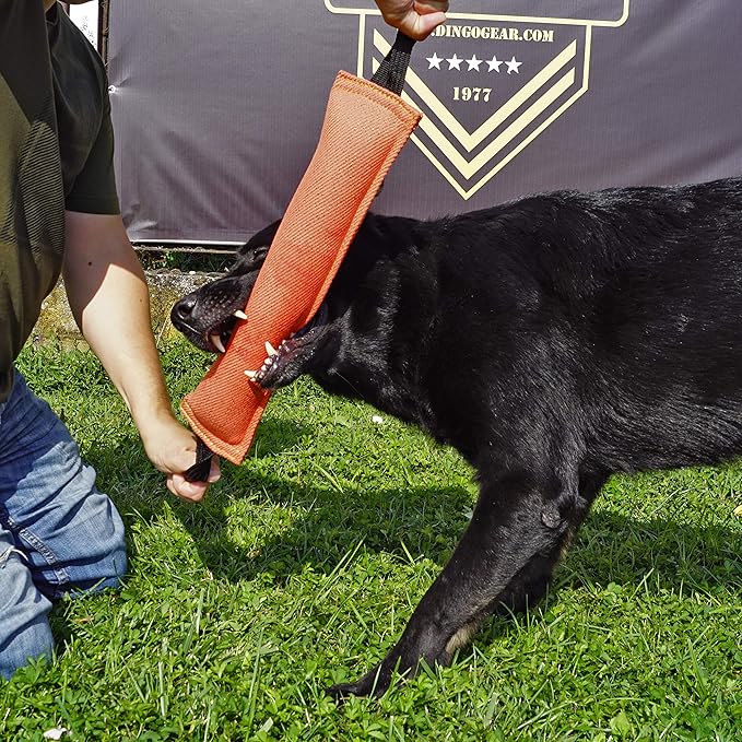 Dingo Gear French Linen tug Toy for Dog, Bumper Toy for Training, Agility, tug of war, bite Pillow for Strong Dog, 2handles 18in Blue S00067